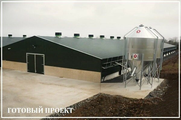 Этапы возведения птицефабрики от завода ВелесТент-тмс